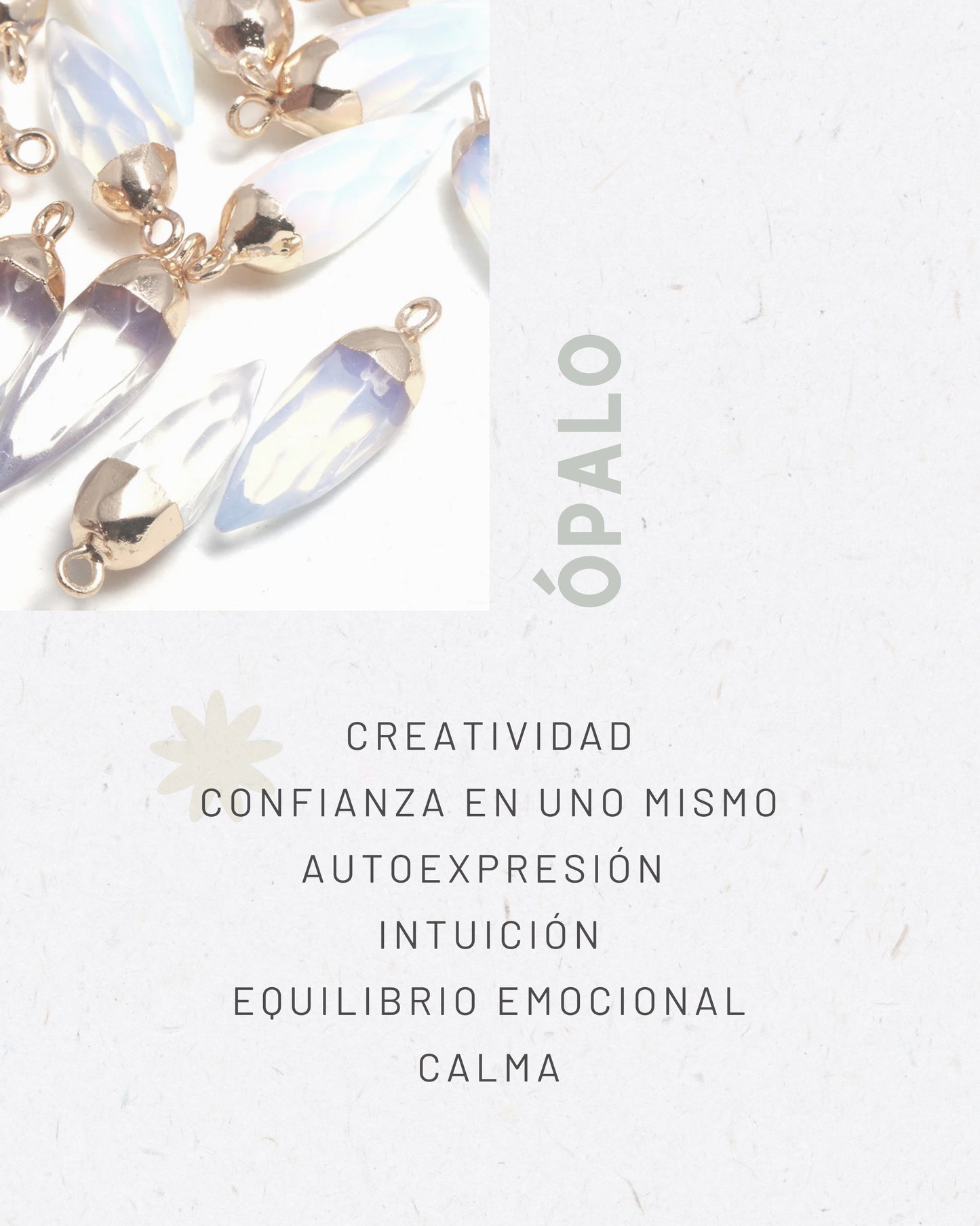 Taller Atrapasueños Agosto